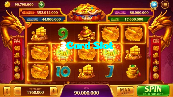 3Card Slot